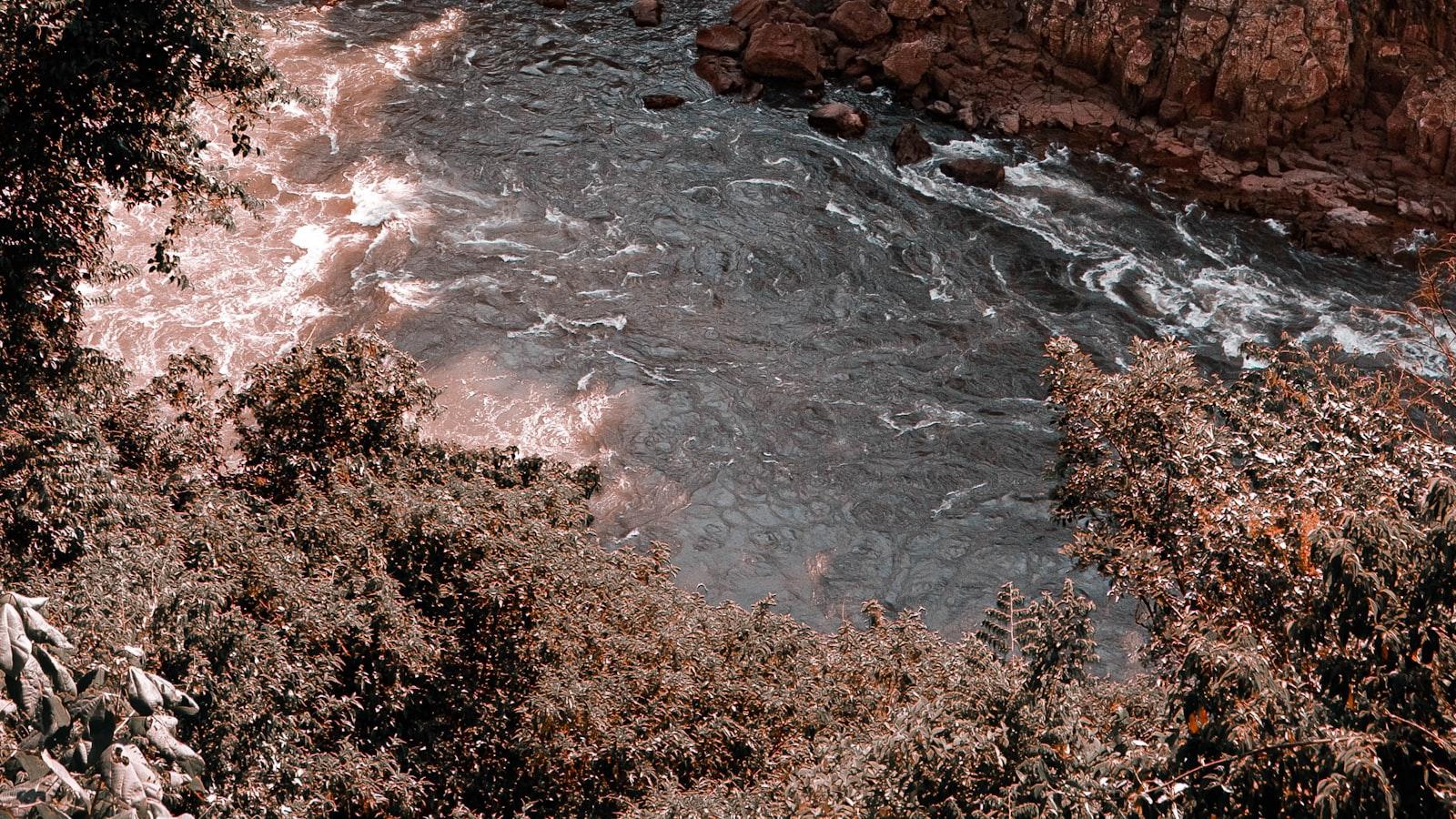 

<p>Prepare-se para se maravilhar ‍com a imensidão das Cataratas do Iguaçu, enquanto seguimos pela ​trilha que nos ⁢levará⁤ até o mirante principal. A cada passo, você poderá sentir a força das águas⁢ e a energia que emana desse ‍lugar único. Não se esqueça de trazer sua câmera, ⁤pois as vistas panorâmicas são simplesmente de tirar o fôlego.</p>
<p>“></p>
<h2 id=